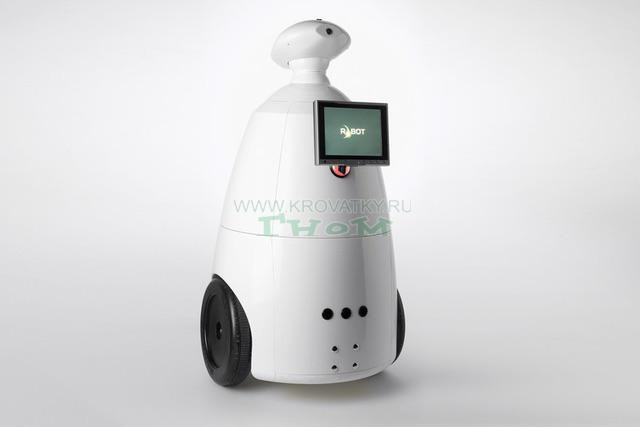 Видеоняня робот R.BOT 100 Видеоняня робот R.BOT 100