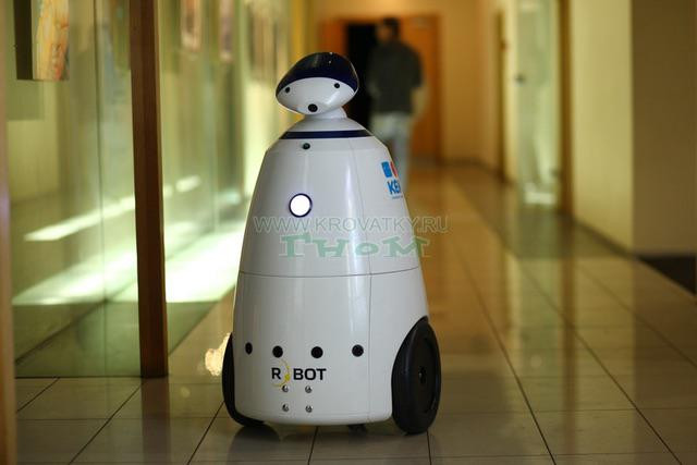Видеоняня робот R.BOT 100 Видеоняня робот R.BOT 100